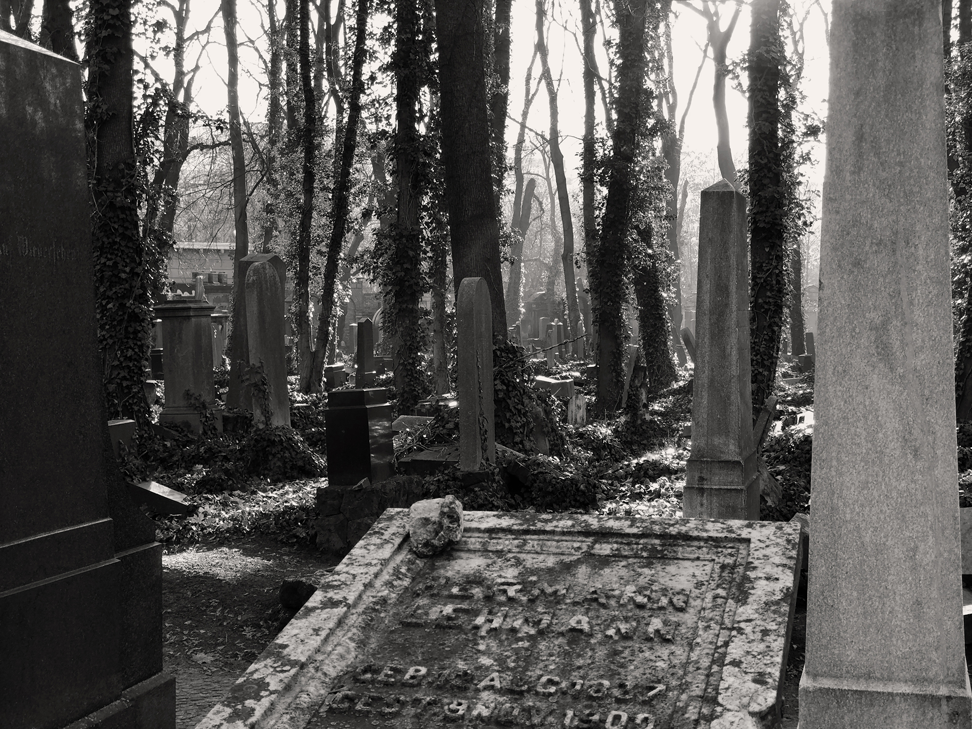 Christoph Radke, Berlin, Jüdischer Friedhof Schönhauser Allee, 2020